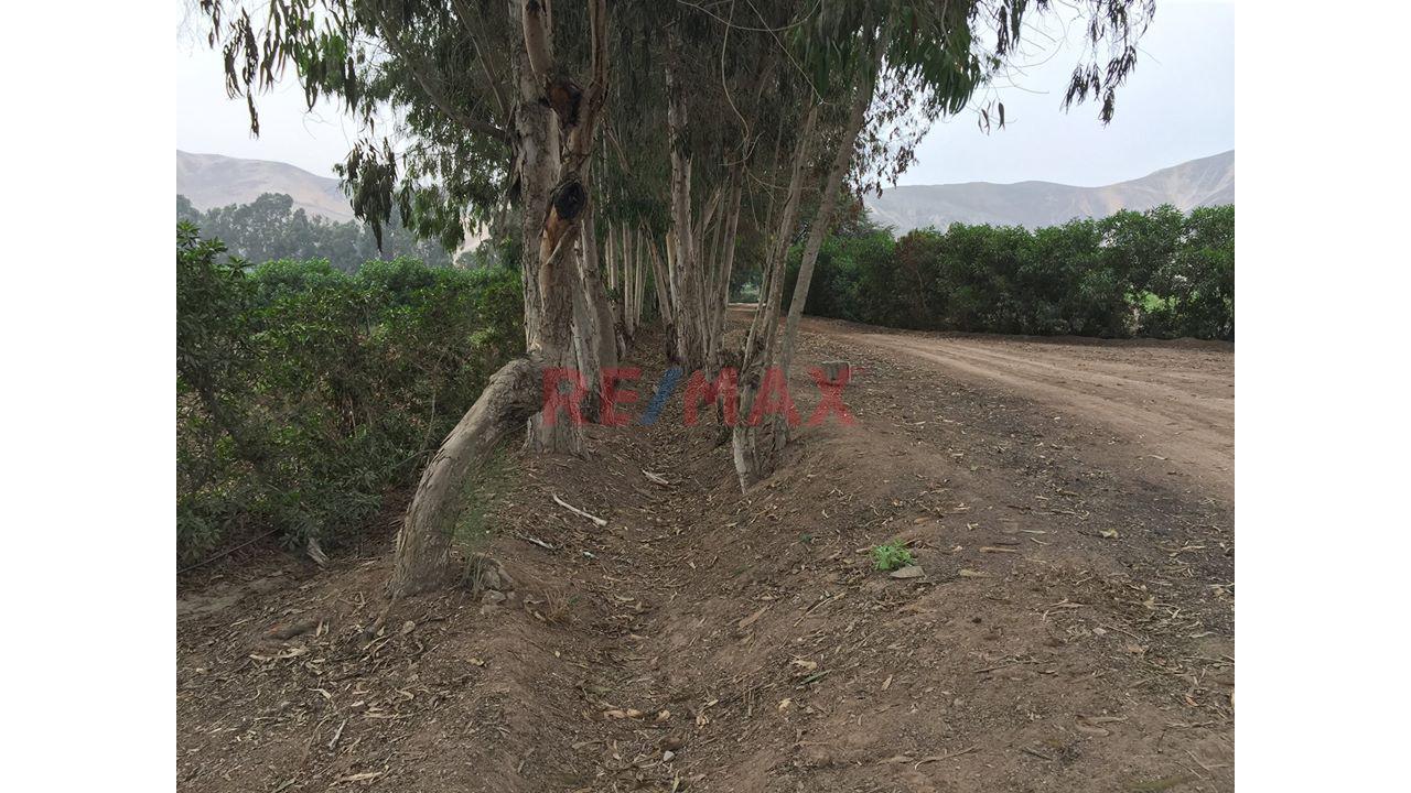 Se Vende Terreno En Condominio De Pachacamac Iii Etapa , Ubicado En La Parte Oeste De La Parcela Del Fundo Rustico San Fernando, — foto 9