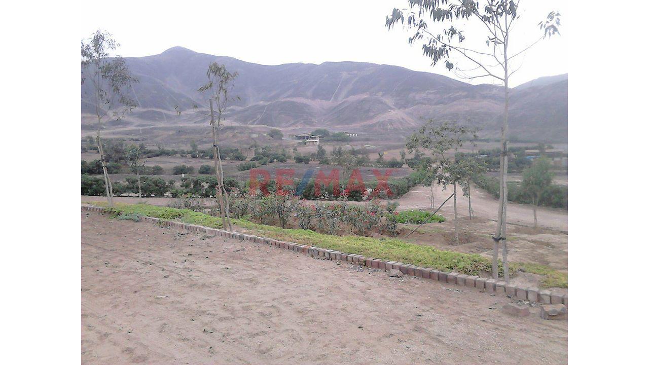 Se Vende Terreno En Condominio De Pachacamac Iii Etapa , Ubicado En La Parte Oeste De La Parcela Del Fundo Rustico San Fernando, — foto 13