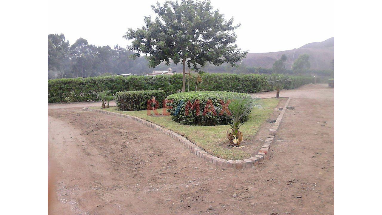 Se Vende Terreno En Condominio De Pachacamac Iii Etapa , Ubicado En La Parte Oeste De La Parcela Del Fundo Rustico San Fernando, — foto 14