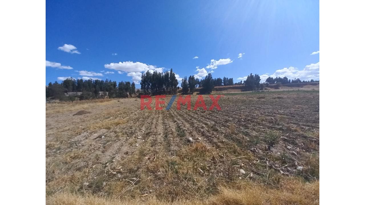 Venta De Oportunidad En Valle Mantaro, Jauja, Terreno Agricola 4,512M2. - 8