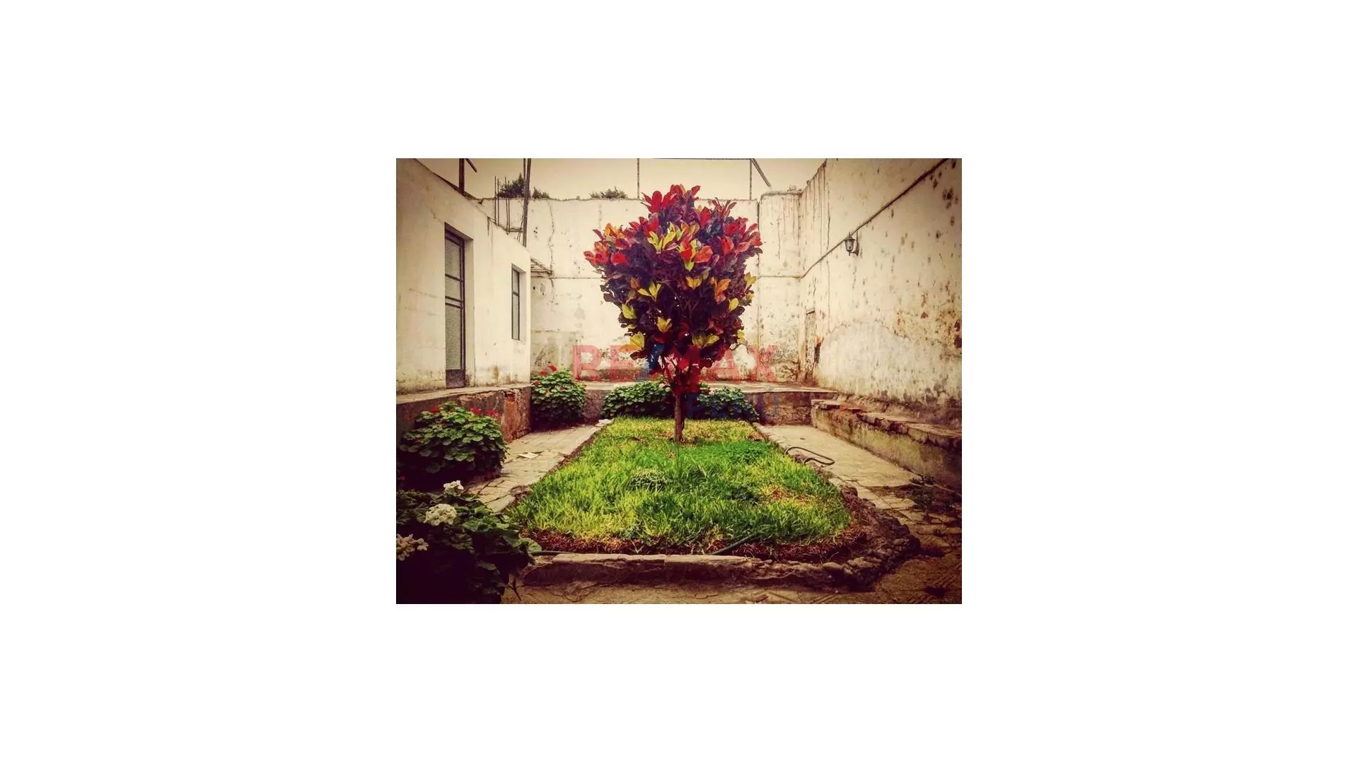 Se Vende Bella Casona Monumental En Barranco. - 12