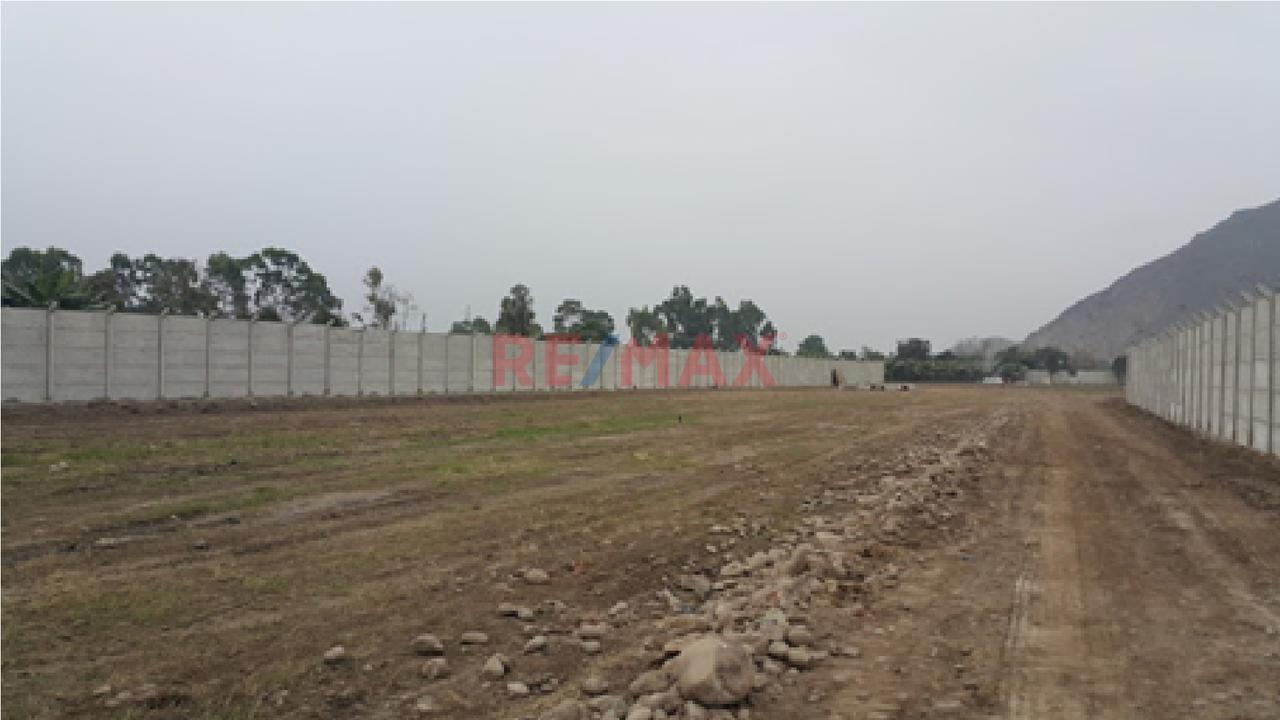Gran Oportunidad Terreno En Pachacamac