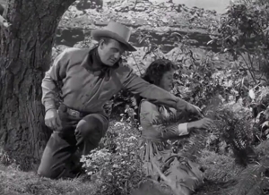 A video clip called Look out there's a wasp on that petunia!  Don't kill him.
