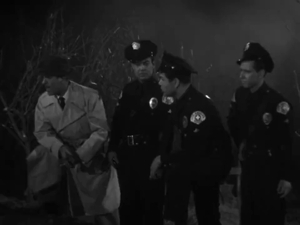 A video clip called Well, this spot looks familiar, though.