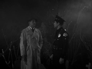 A video clip called Well, true, she was frightened, and in a state of shock.