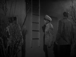 A video clip called Only my reflection.