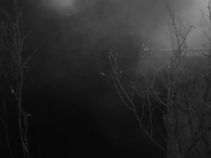 A video clip called Now, the Lieutenant knows best.
