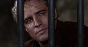 A video clip called Rotting my guts out down in that pen in Sonora.