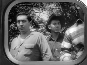 A video clip called the plan is, kill the brain and you kill the ghoul.