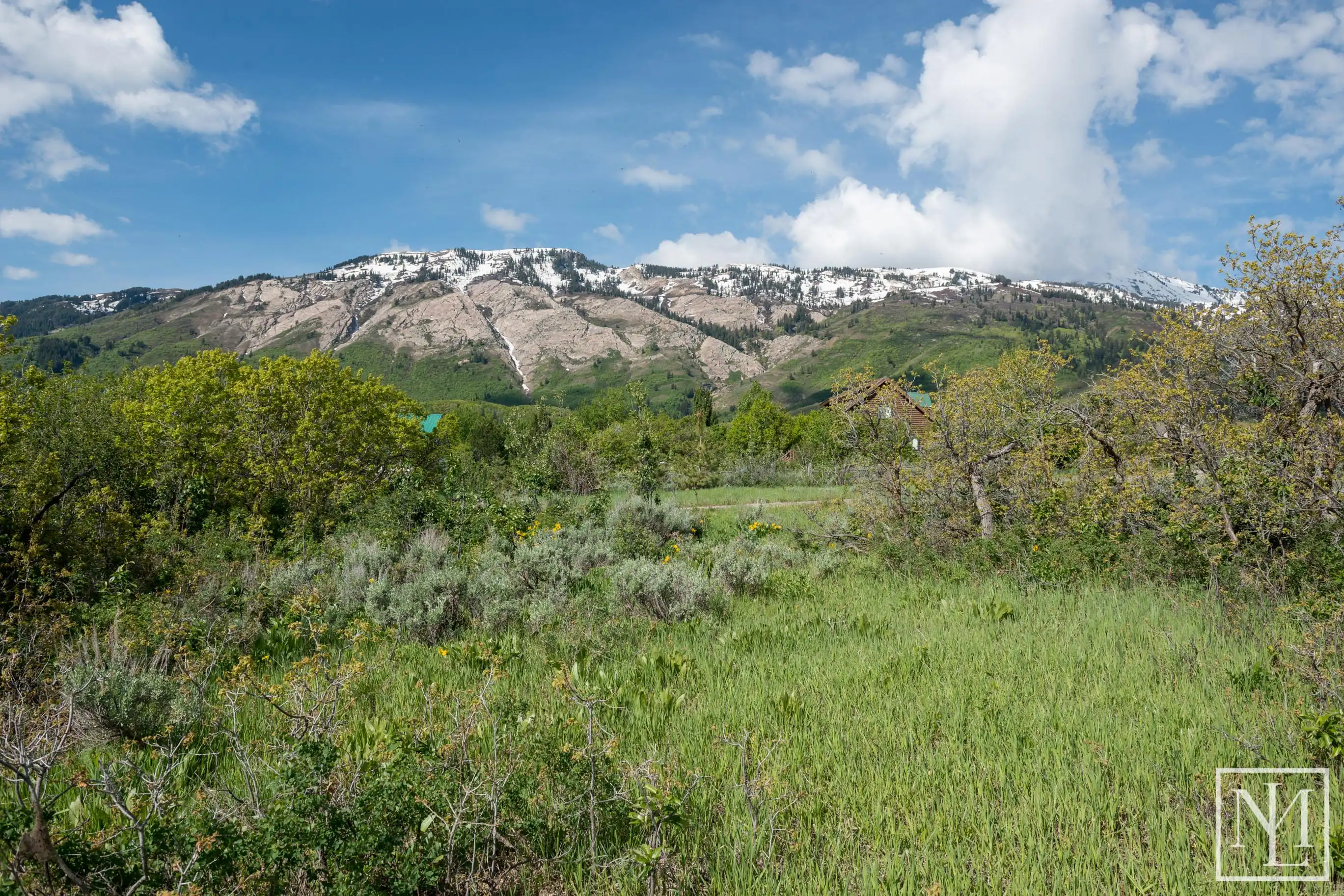hero image for blog Gorgeous Mountain Lots For Sale on 5950 N in Liberty, Utah