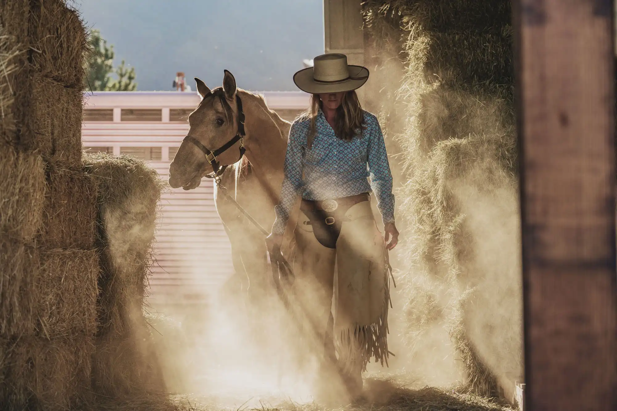 Cowgirl in blue shirt and beige fringed chaps leading a palomino horse through a dusty barn, with sunlight casting a warm glow and highlighting hay bales.
