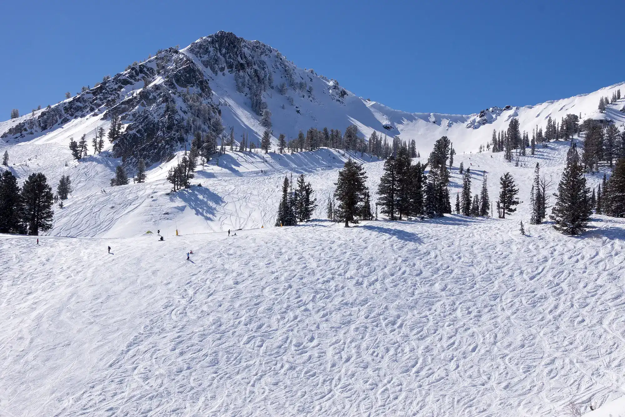 hero image for blog Snowbasin’s Demoisy Peak is About to Get A Face Lift