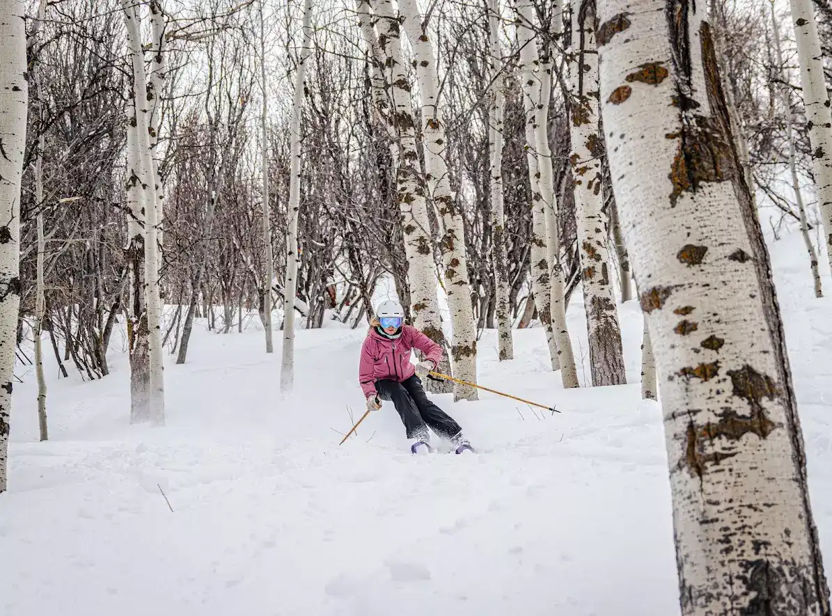 A Skier Carving through Aspens at Nordic Valley