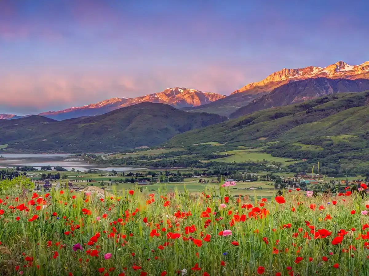 A beautiful view of the Ogden Valley at sunrise during the summer.
