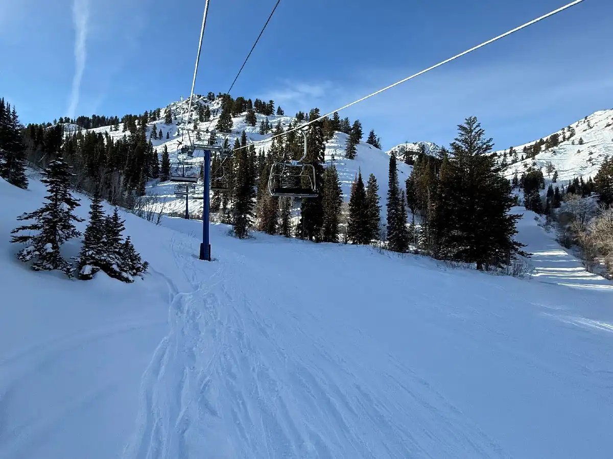 Paradise lift with nobody on it.