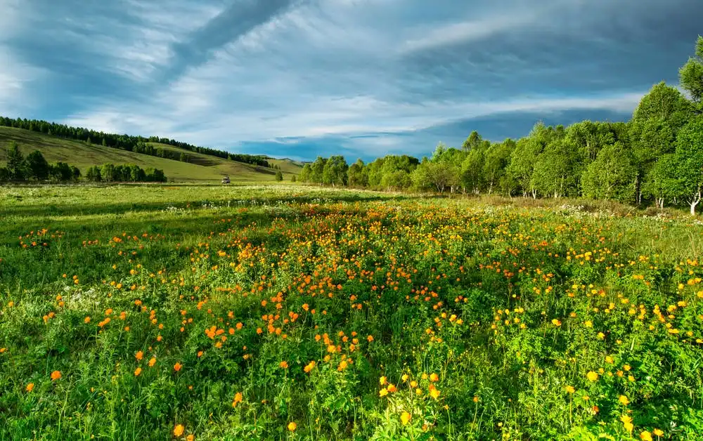 real estate image for Davis County, UT