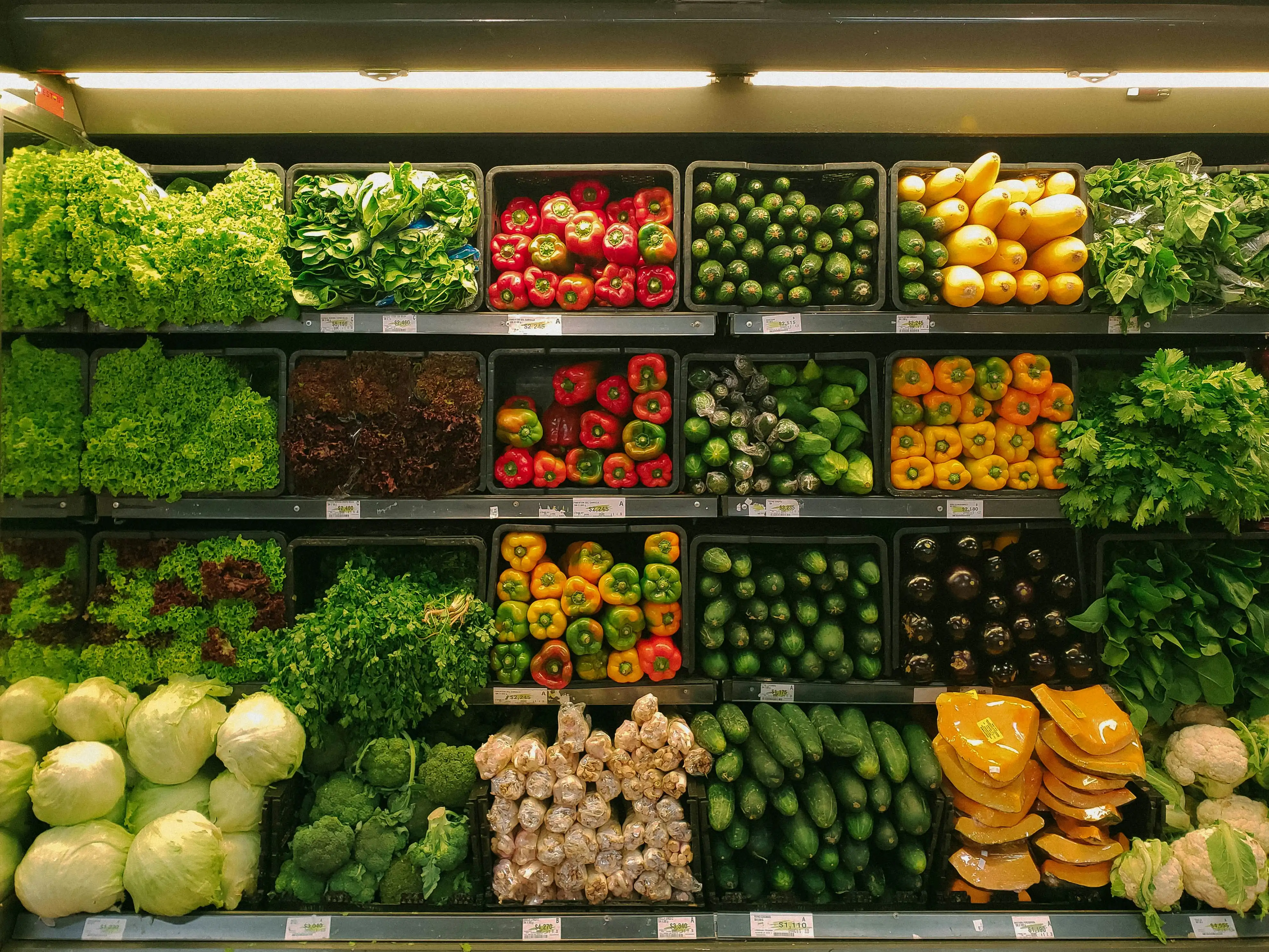 hero image for Grocery Stores in Ogden, UT