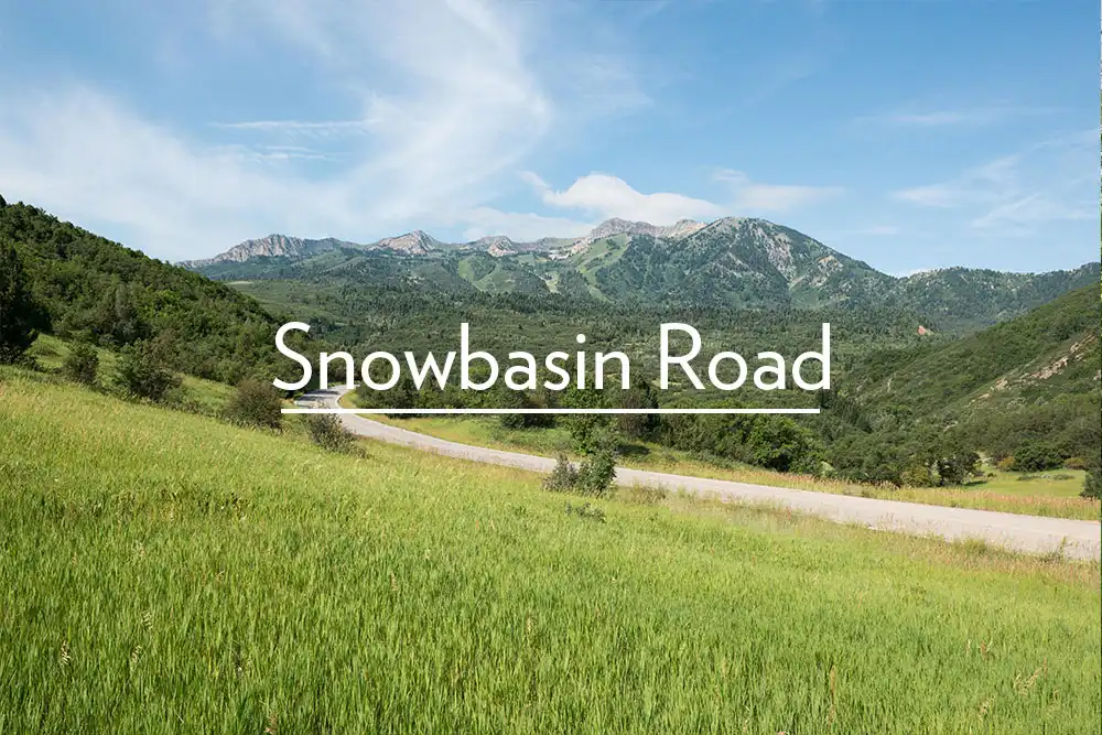 hero image for blog Snowbasin Road to Open Summer of 2015