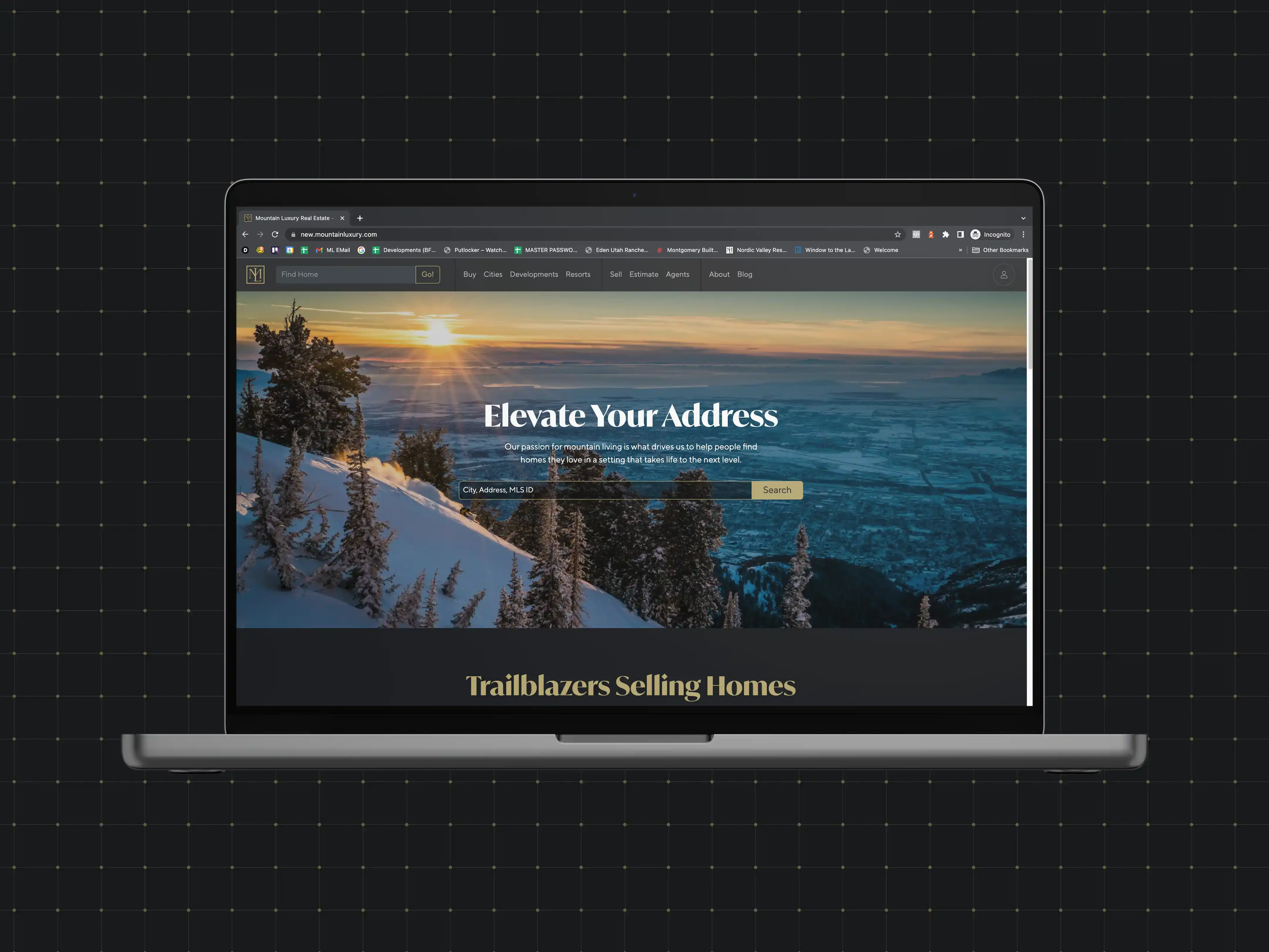 Laptop Mock of Mountain Luxury's New Site