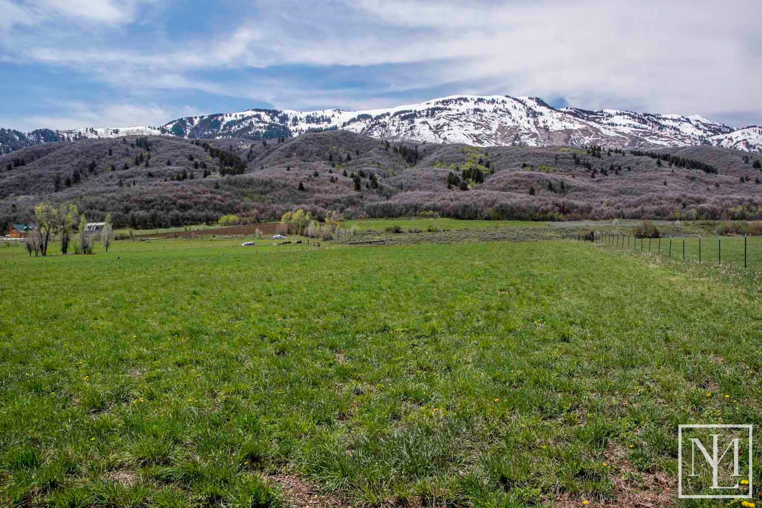 Forest Service Boardering Land