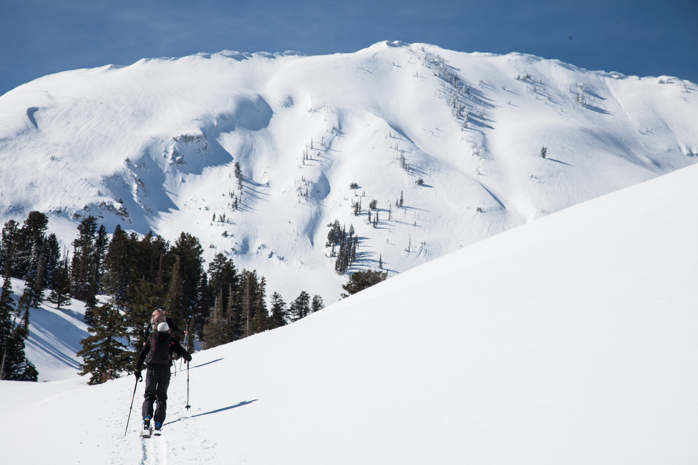 Ogden Avalanche