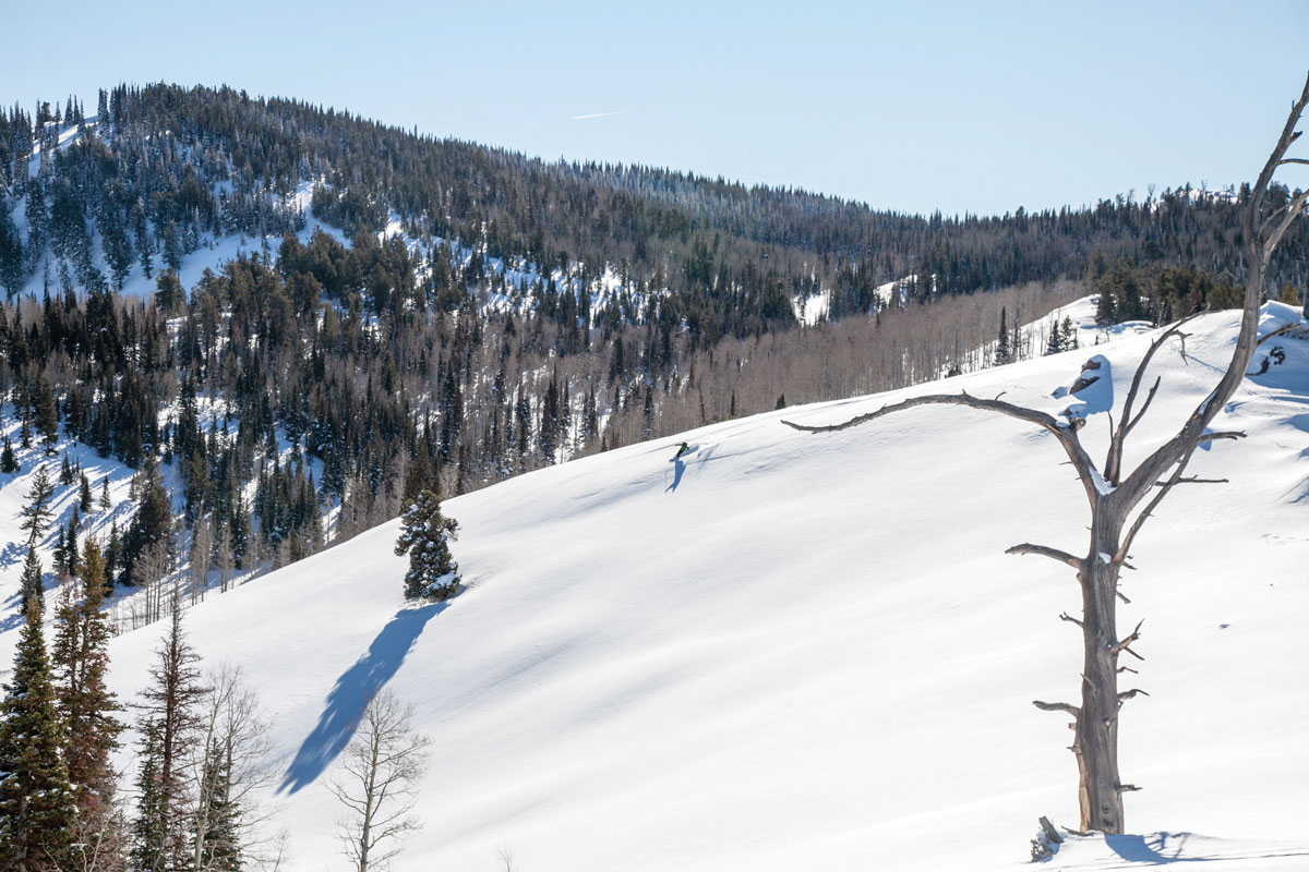 Ogden Avalanche