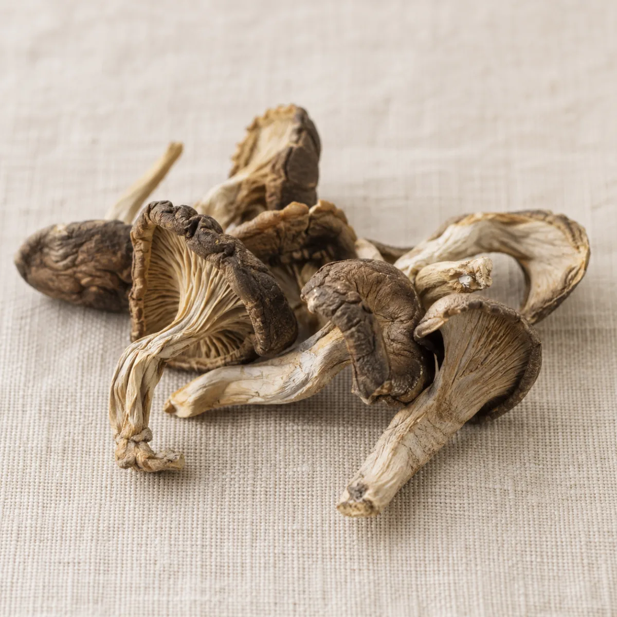 Clavito Silvestre Deshidratado — 100 g | Simbiosis | The Mushroom Boutique