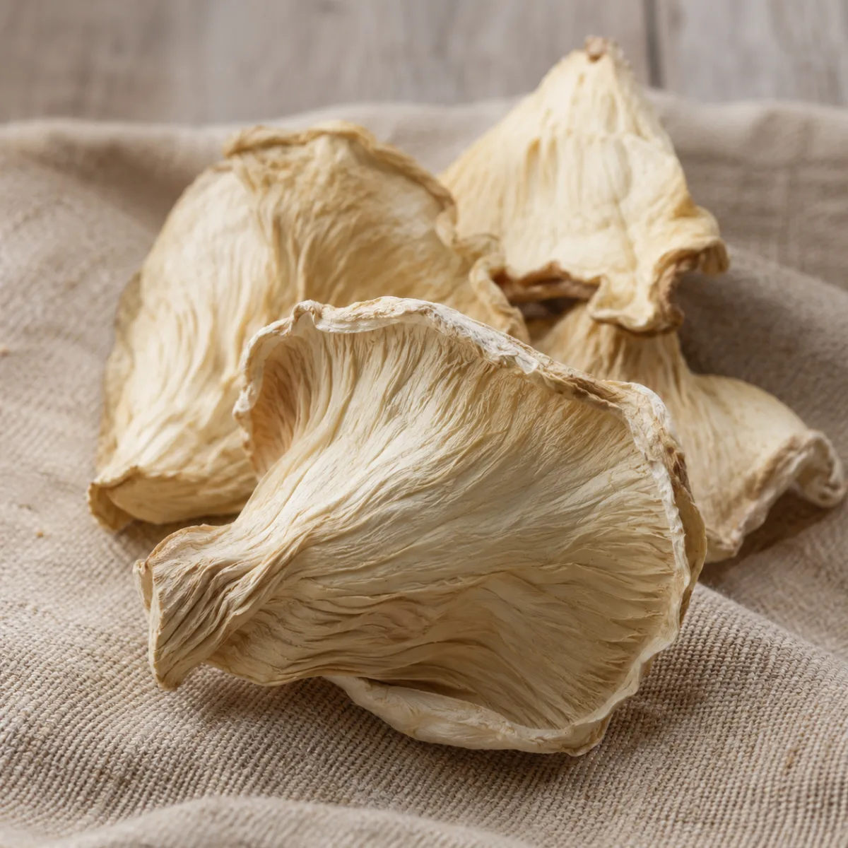 Oreja Blanca Silvestre Deshidratada — 100 g | Simbiosis | The Mushroom Boutique