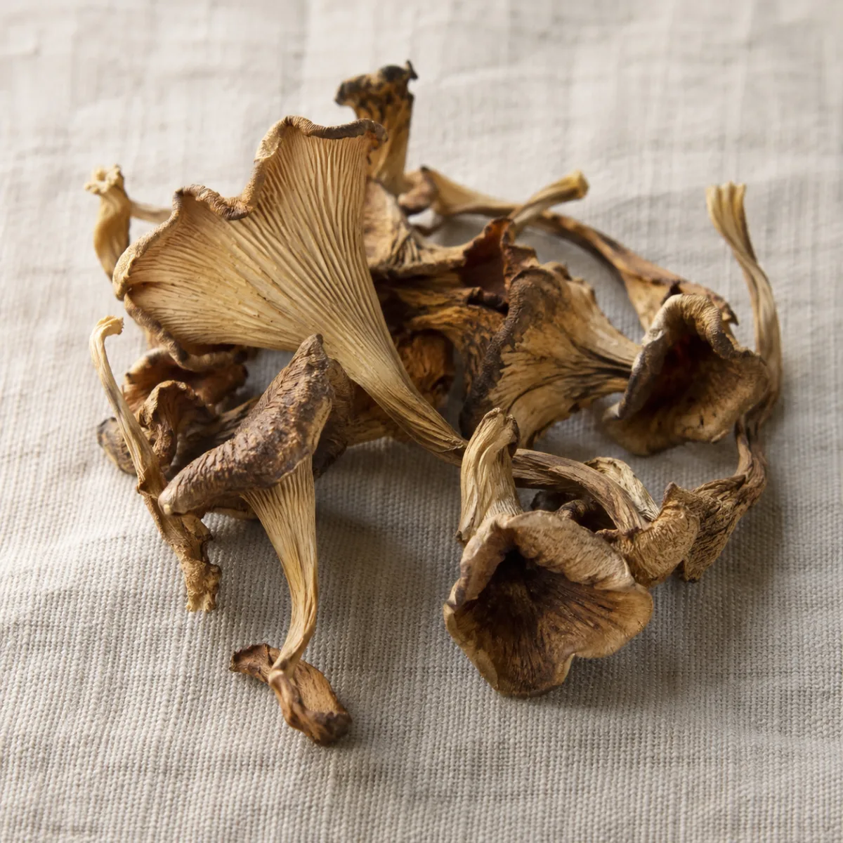 Tejamanil Silvestre Deshidratado — 100 g | Simbiosis | The Mushroom Boutique