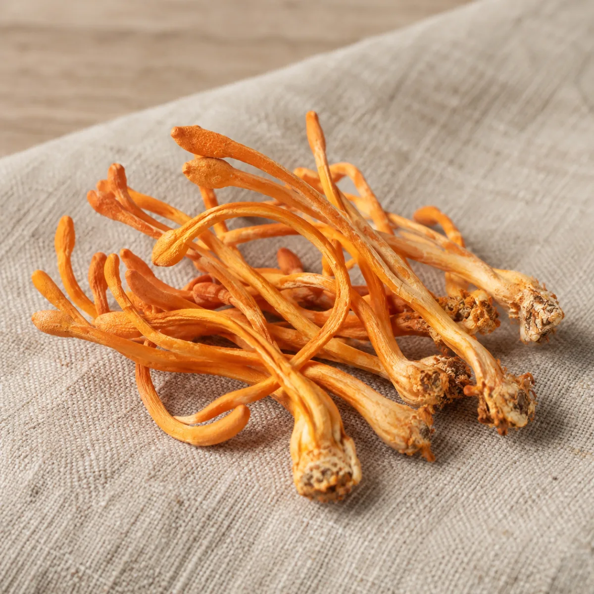 Cordyceps Entero Deshidratado | Simbiosis | The Mushroom Boutique