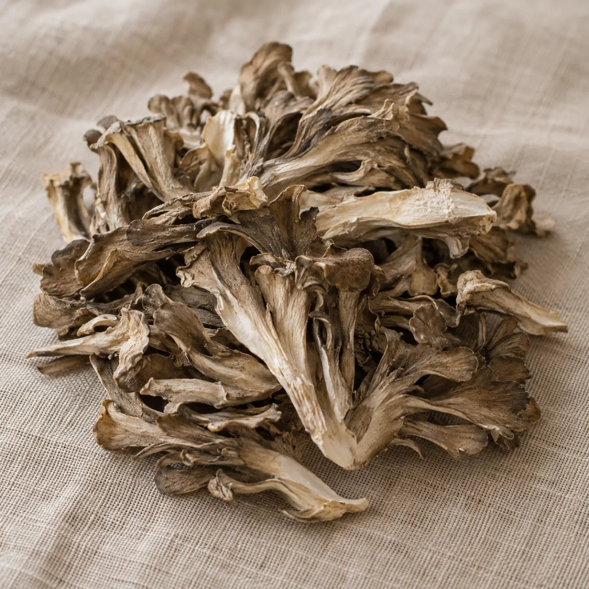 Maitake Deshidratado para Infusión | Simbiosis | The Mushroom Boutique