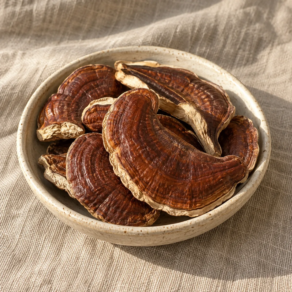 Reishi en Rebanadas para Infusión | Simbiosis | The Mushroom Boutique