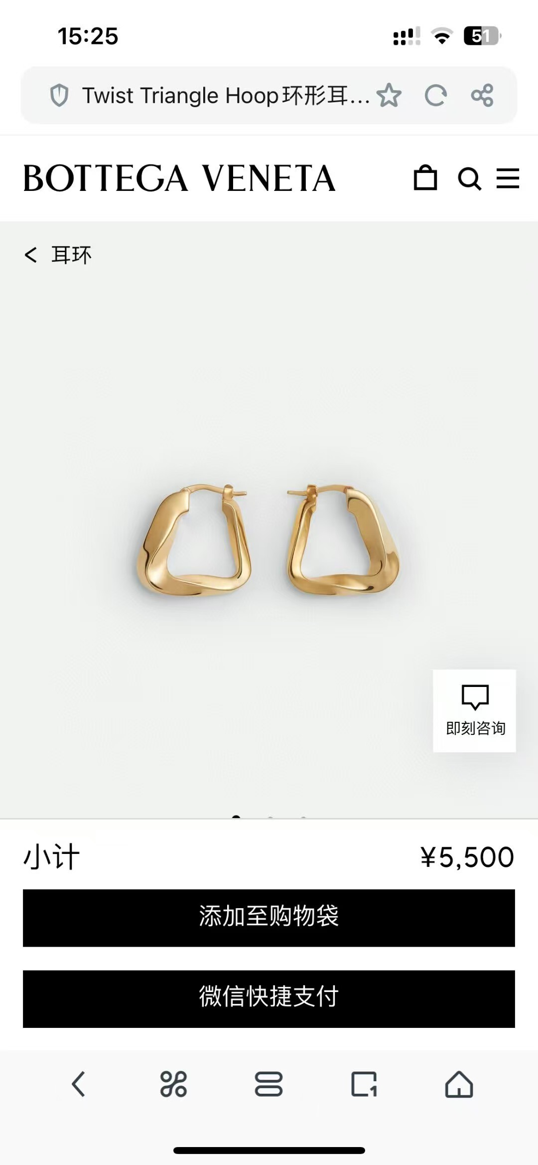 sculptural Bottega Veneta Gold Earrings – Bottega Veneta Gold