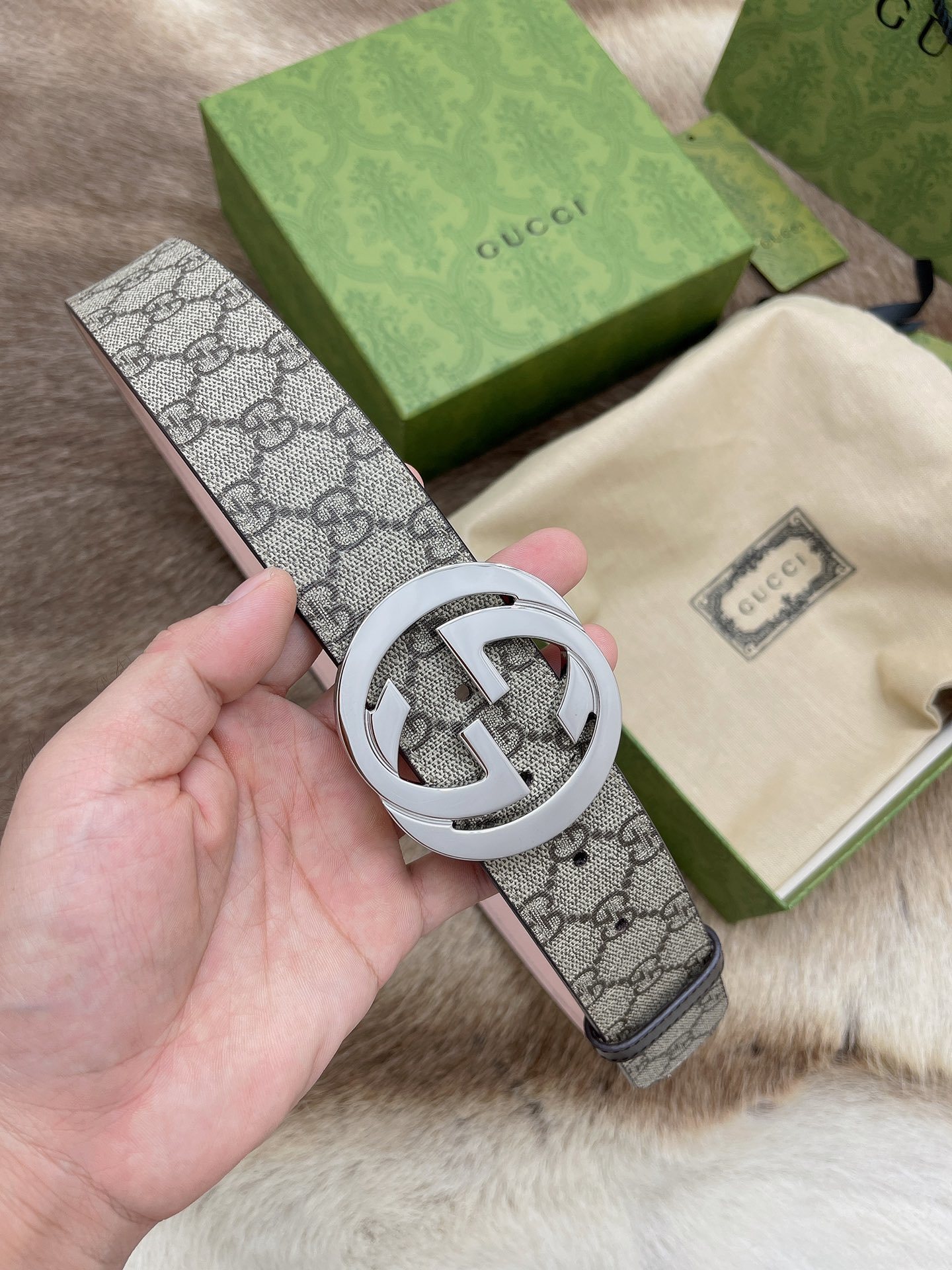 Gucci GG Supreme Belt with Silver Buckle - Premium Quality