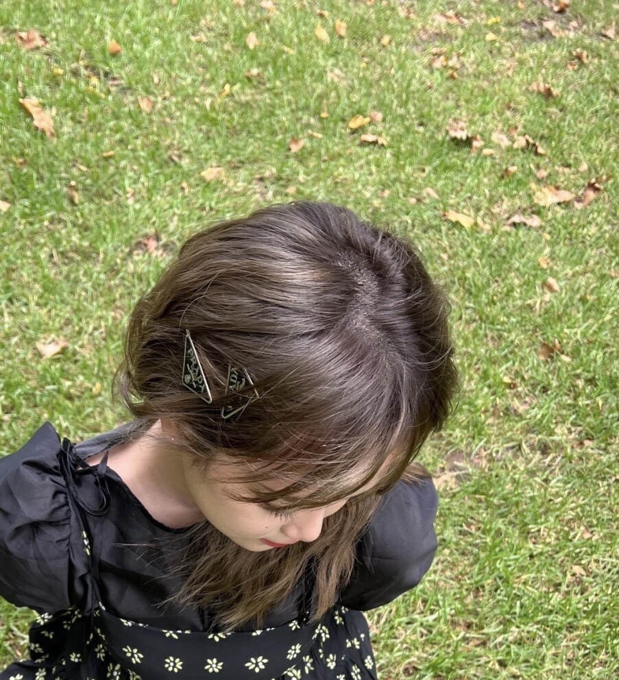 Premium Triangle Hair Clips - Chic Hair Accessories