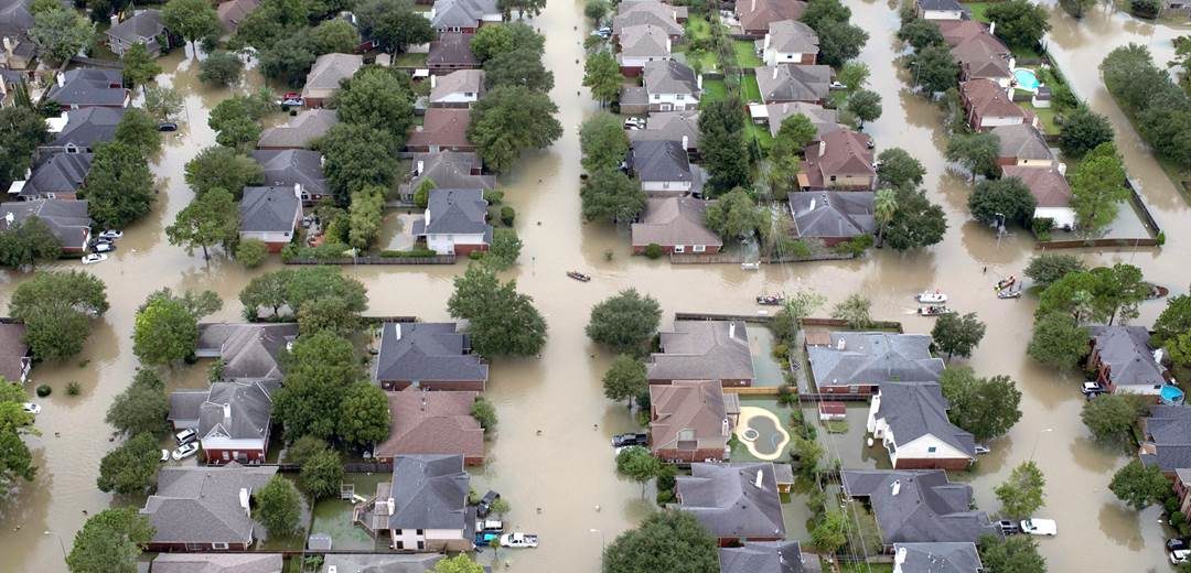 On the Ground in Houston: Liberty Organizations From Across the Country Are Helping