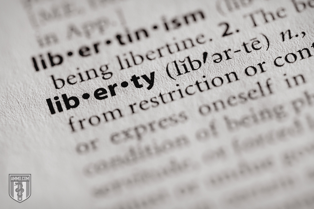 Freedom vs. Liberty: How Subtle Differences Between These Two Big Ideas Changed Our World