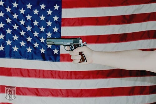 American Gun Ownership: The Positive Impacts of Law-Abiding Citizens Owning Firearms