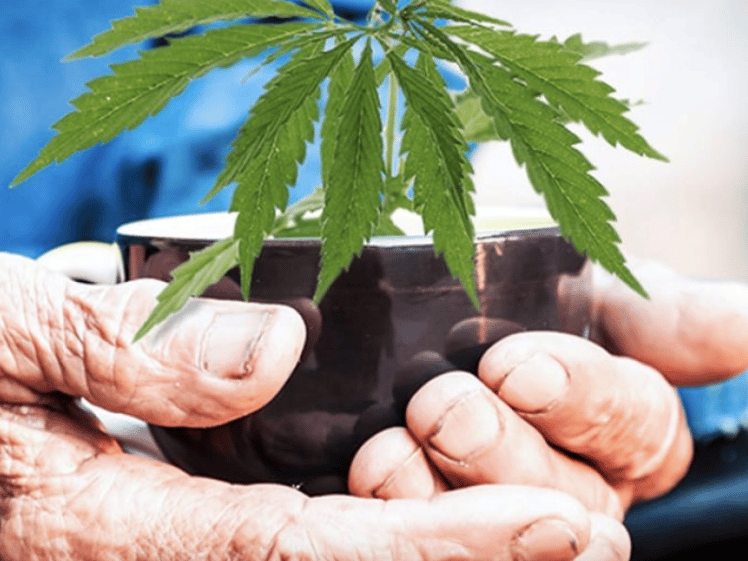 Pennsylvania Aims To Move Forward Both On Medicinal & Adult Use Cannabis Programs