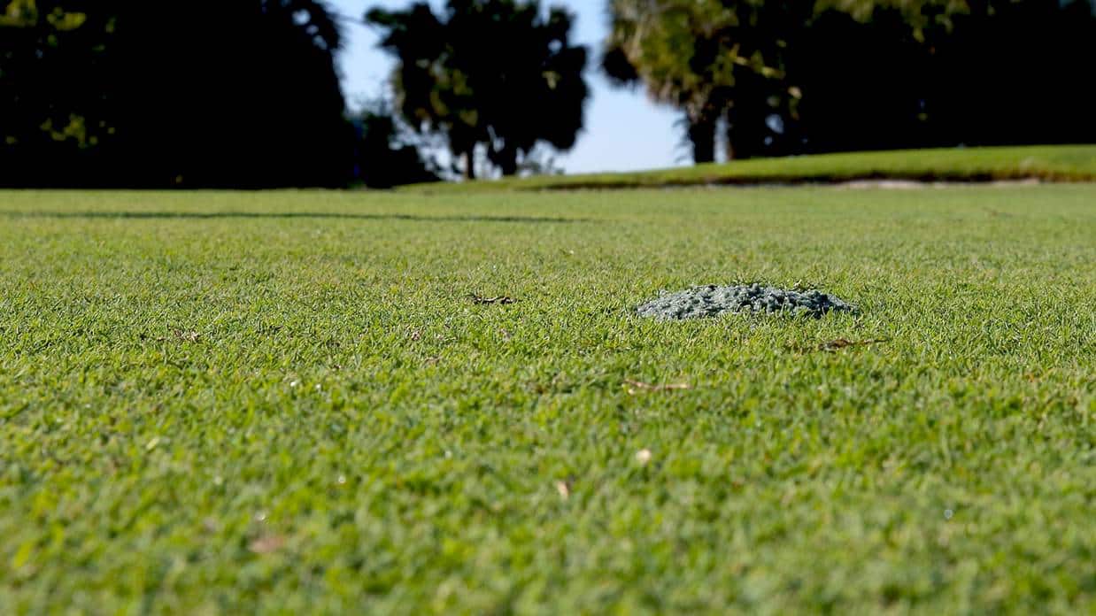 TGIF: Replace Your Divots
