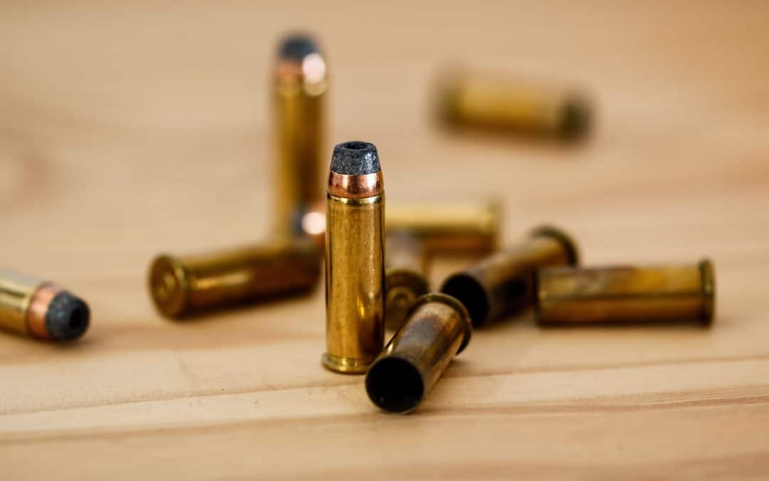 Background Checks Lead to Gun Confiscation in California
