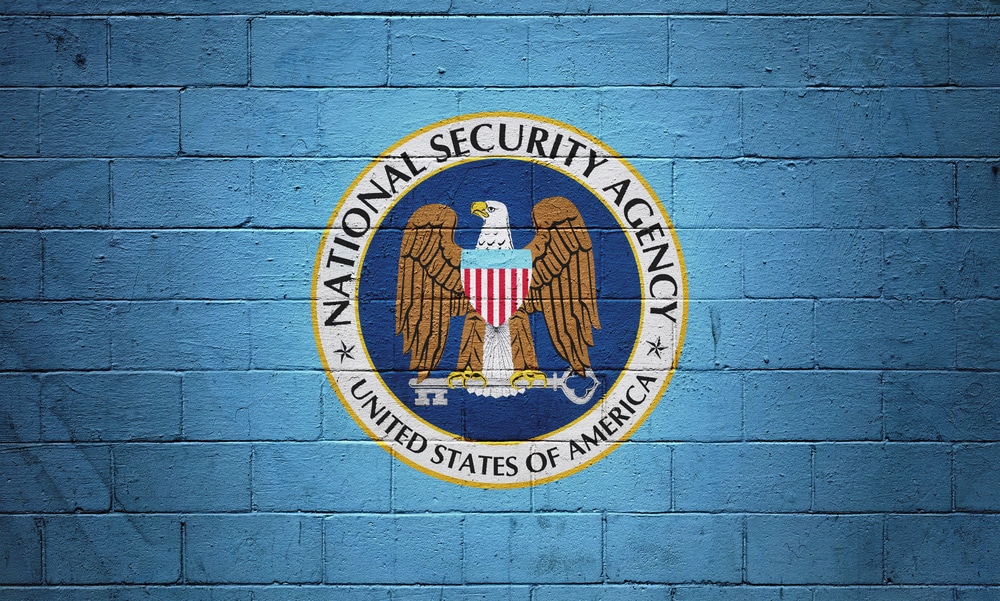 nsa flag painted on a brick wall