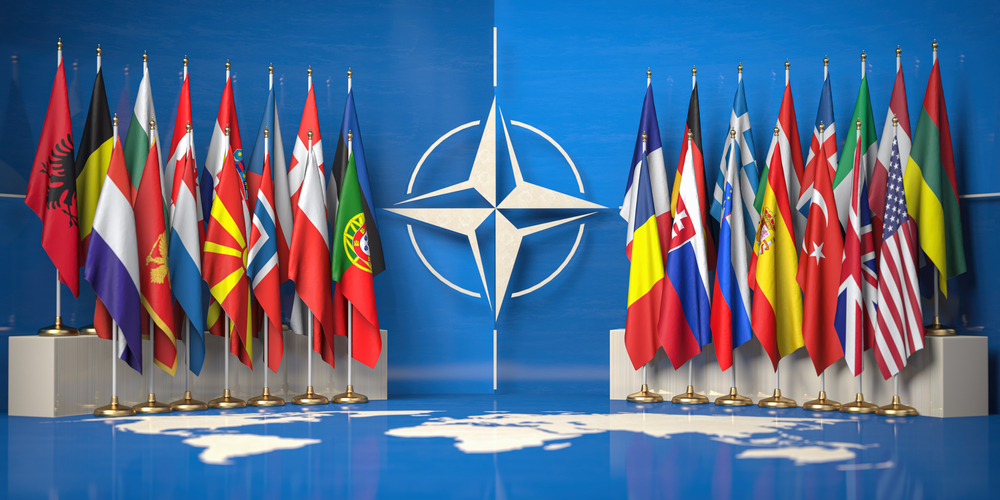 The Growing Fissures in NATO Unity