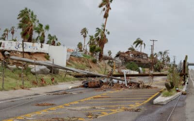 Hurricanes Are Not Going Away; How Can We Adapt?