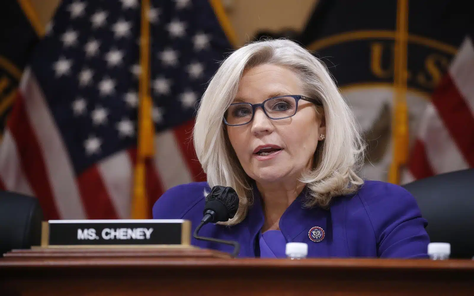 liz cheney