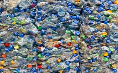 ‘Recycling’ Makes Plastic Pollution Worse