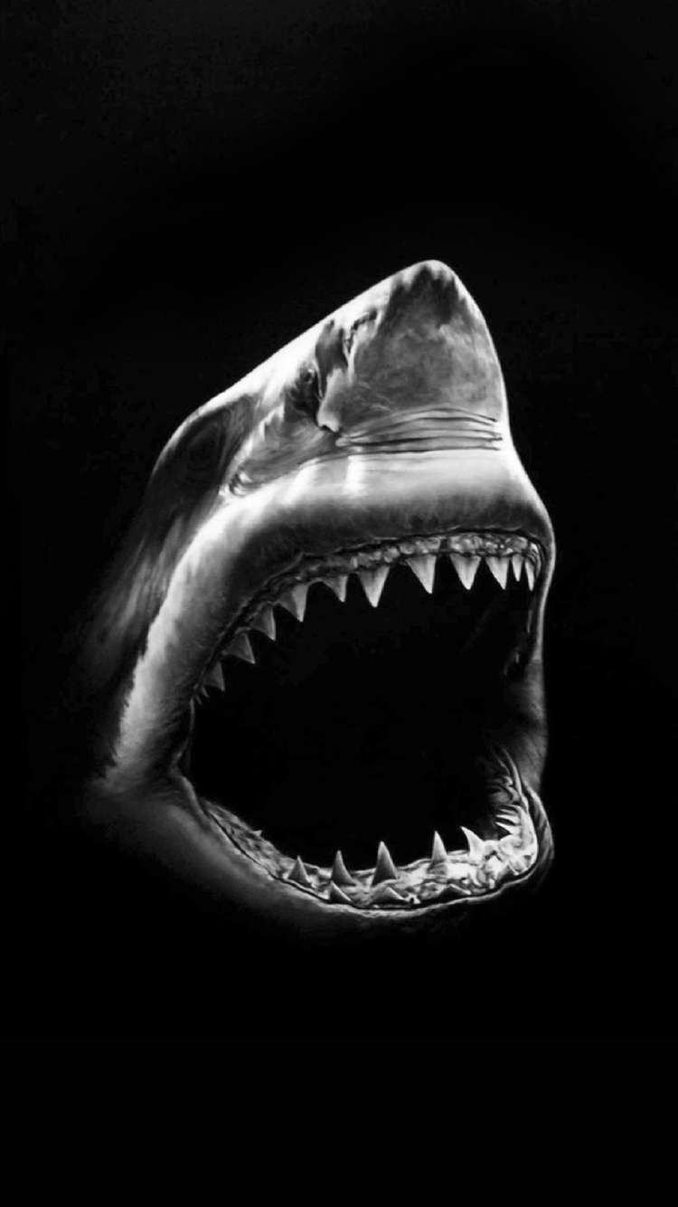 Black-Shark-Wallpaper.jpg