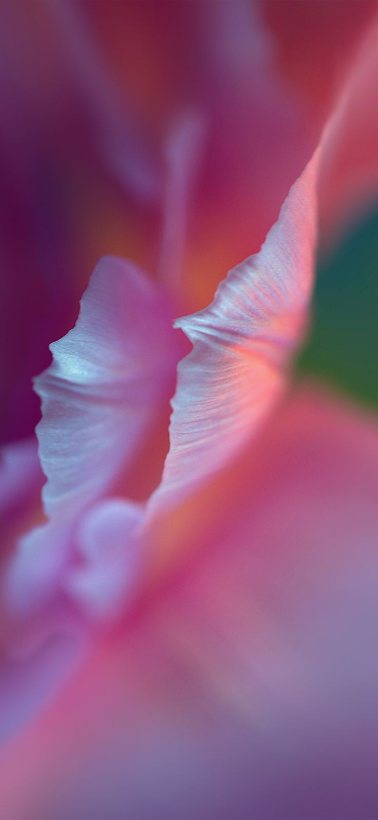 Huawei-P30-Lite-Wallpaper.jpg