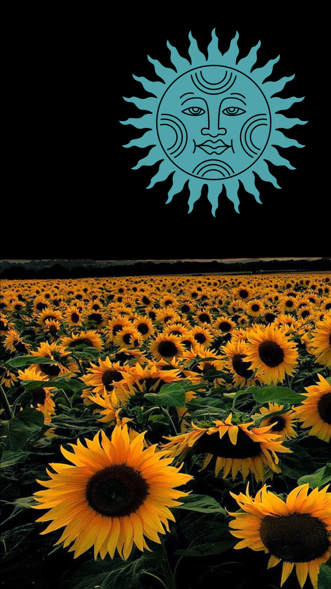 iPhone-Sunflowers-Wallpaper.png