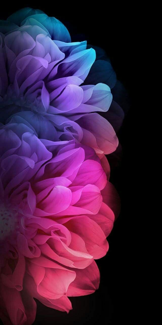 iPhone-X-Wallpaper-2.jpg